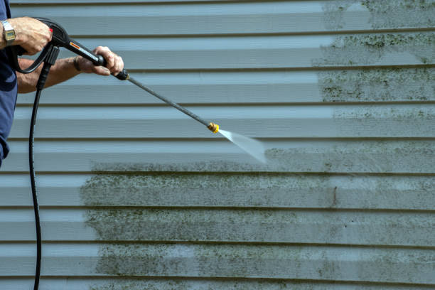 Best Patio and Deck Pressure Washing  in Hill N Dale, FL